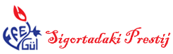 Efegül Sigorta header logo